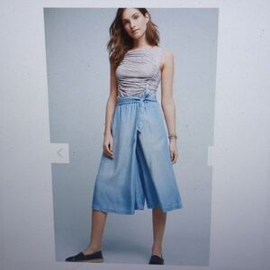 Anthropologie Holding Horses Chambray Wide Leg Crop Pants, Size M